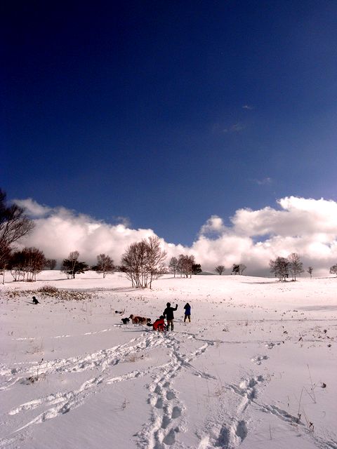 a0093592_2465910.jpg