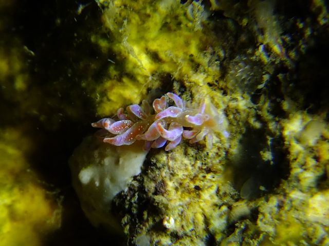f0053895_17101086.jpg