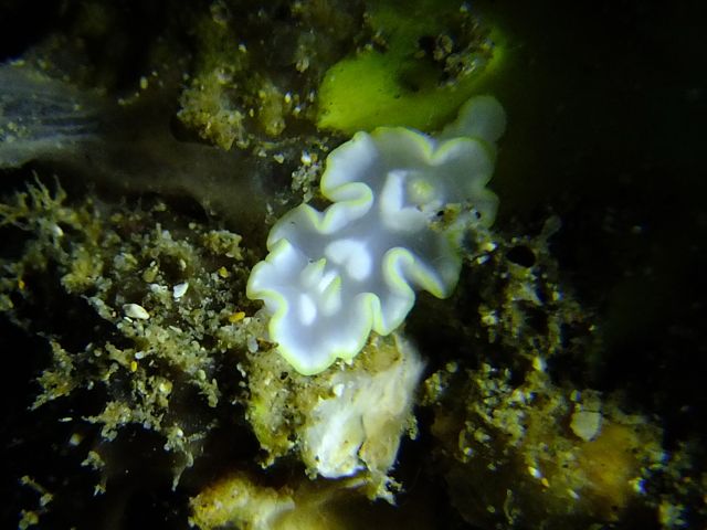 f0053895_17101494.jpg