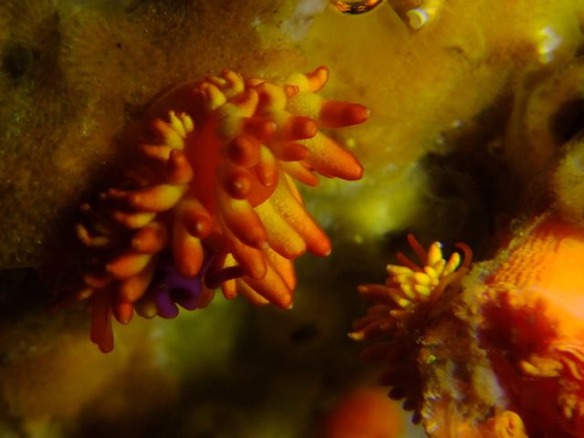 f0053895_17101724.jpg