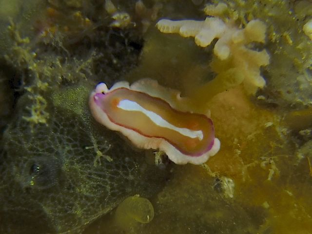 f0053895_17102532.jpg