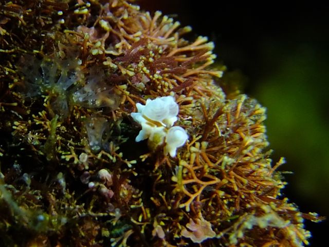 f0053895_17102996.jpg