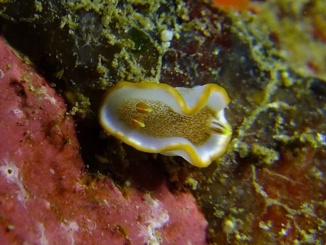 f0053895_1710578.jpg