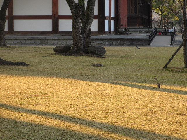 a0193698_21202594.jpg