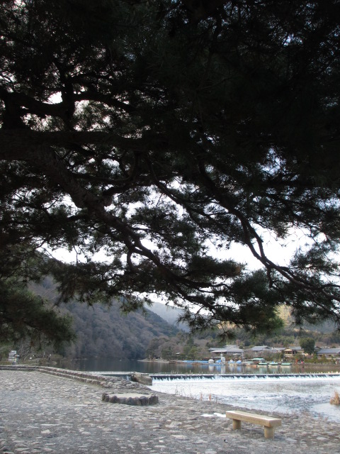 a0193698_217204.jpg