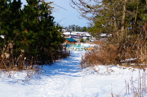 b0288598_19543119.jpg