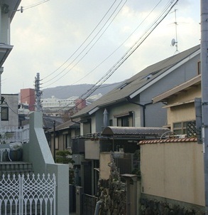a0167803_20501256.jpg