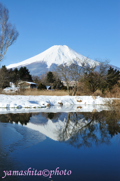 富士さん写真展に多くの皆様にご来場頂きまして有難うございます。_a0158609_17233377.jpg