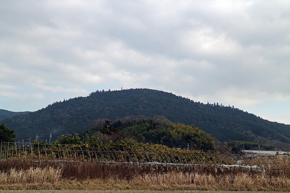 a0151913_21484030.jpg