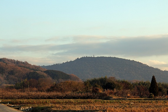 a0151913_21495535.jpg