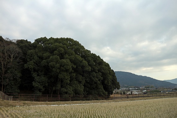 a0151913_2149872.jpg