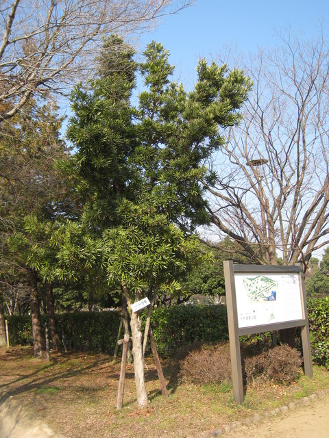 d0287413_1723710.jpg
