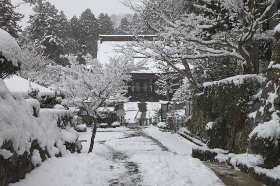 勝林院雪景色_e0048413_1941540.jpg