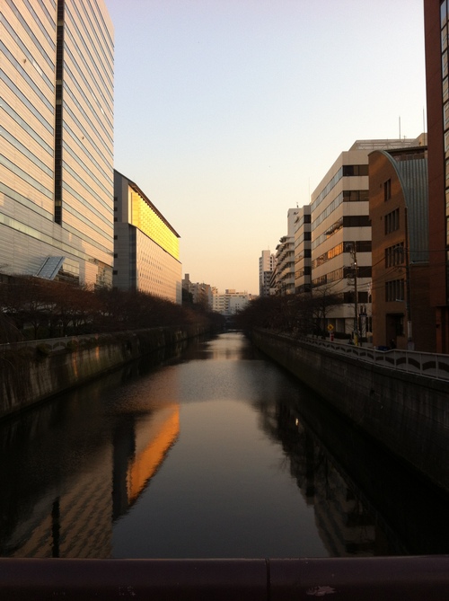 d0004717_8293517.jpg