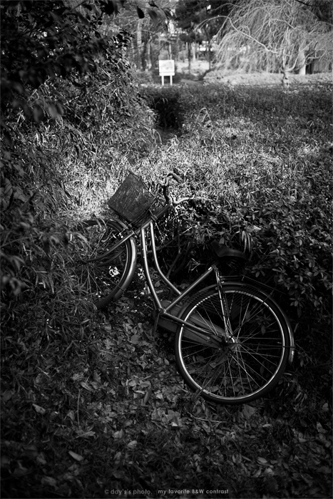silent…_e0117517_2144975.jpg