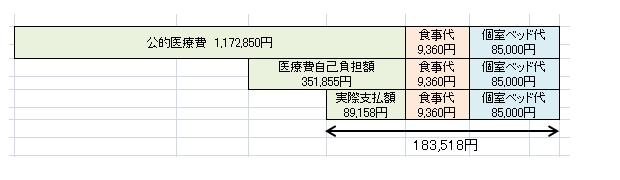 ガンとお金を考えるの巻 その2_a0112619_16195926.jpg