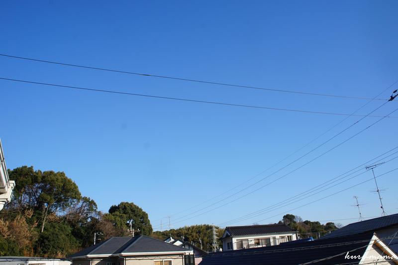 b0279623_0564875.jpg