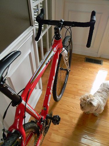 リドレー X-Fireシクロクロスバイク : アメリカを自転車でエンジョイ リドレー X-Fireシクロクロスバイク : アメリカを自転車でエンジョイ