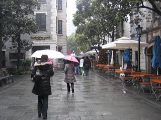 a0147436_1605355.jpg