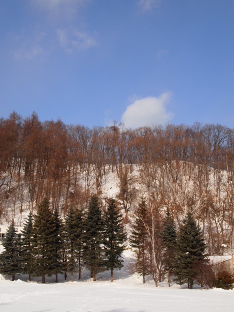 c0117239_8493528.jpg