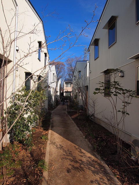 e0195939_1133778.jpg