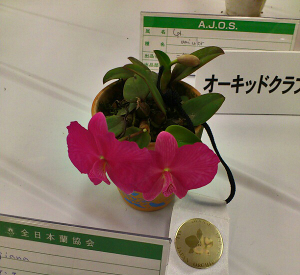 c0261240_15583920.jpg