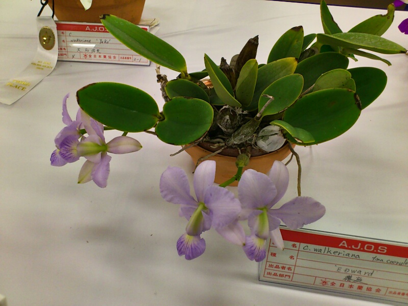 c0261240_16125049.jpg