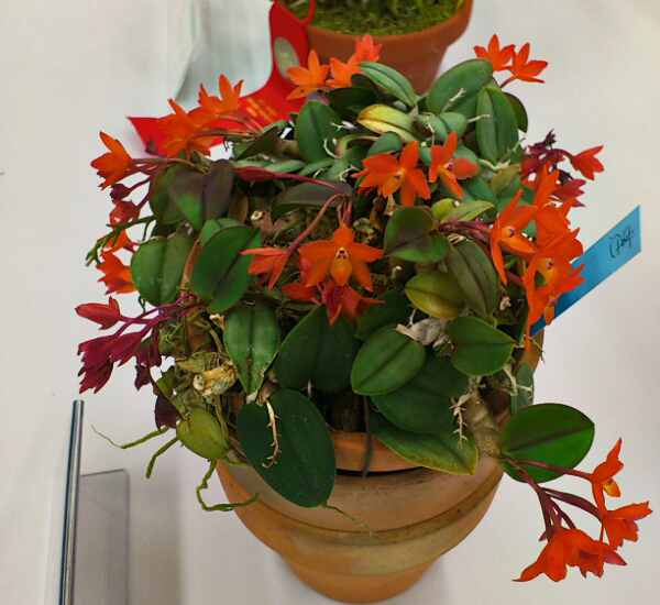 c0261240_1665287.jpg