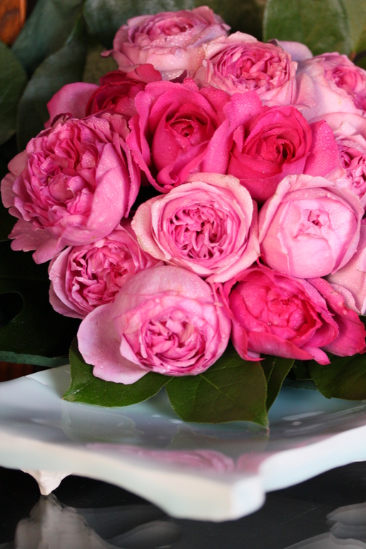 芍薬のような薔薇_e0241944_1614091.jpg