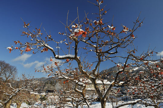 c0093046_1347685.jpg