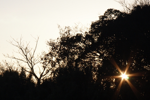 b0248954_6593913.jpg