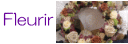b0280156_1748892.gif