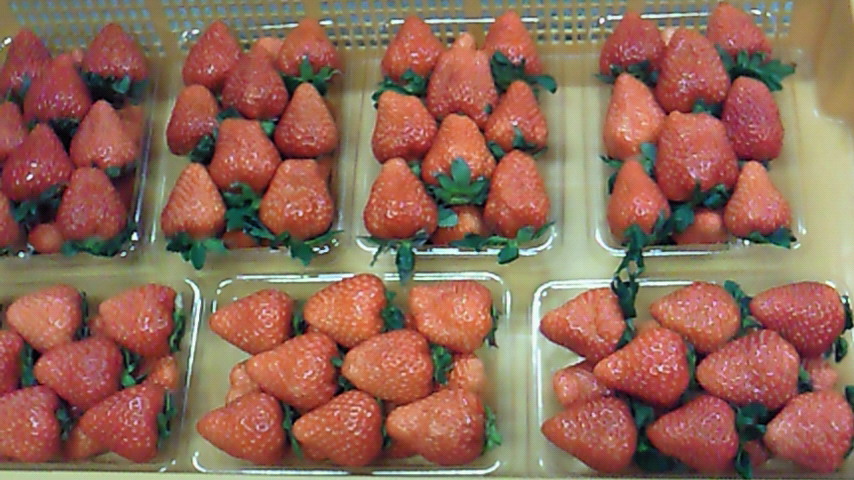 a0169558_22211423.jpg