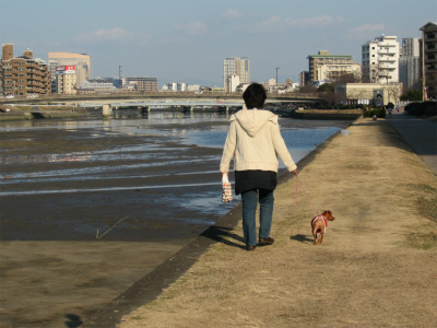 室見川ウオーキング 　13　1/12_f0156960_20521432.jpg