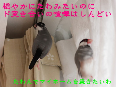 b0158061_20554819.jpg