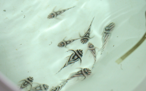 a0162263_8333141.jpg