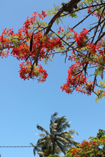 c0117570_1639985.jpg
