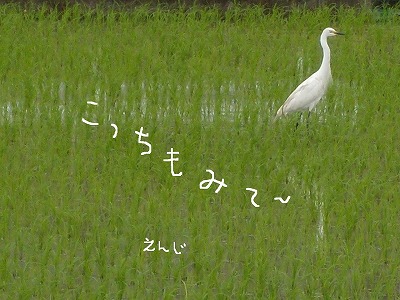予定なし!!_d0165772_19194216.jpg