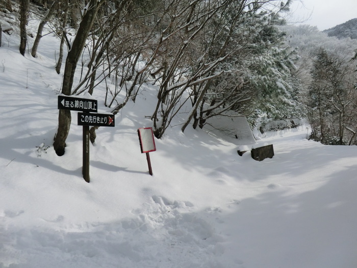 b0185573_9343070.jpg