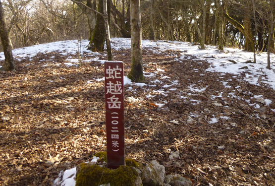 今年の干支蛇越岳・野稲だけ・立石山に_d0126573_22183516.jpg