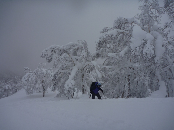 エビス山（723㍍）～大黒山（725㍍）ツアー=2013年1月12日_a0141678_22553322.jpg