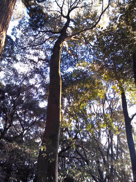 c0135480_21493762.jpg