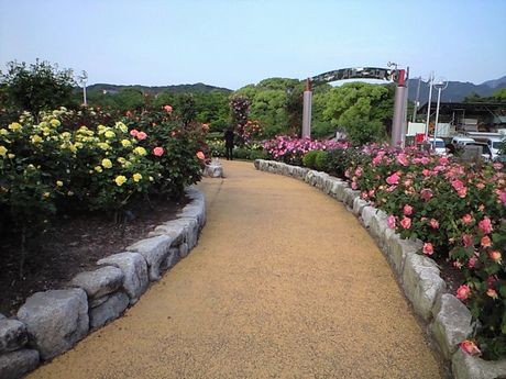 b0005281_10525940.jpg