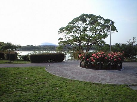 b0005281_10534185.jpg