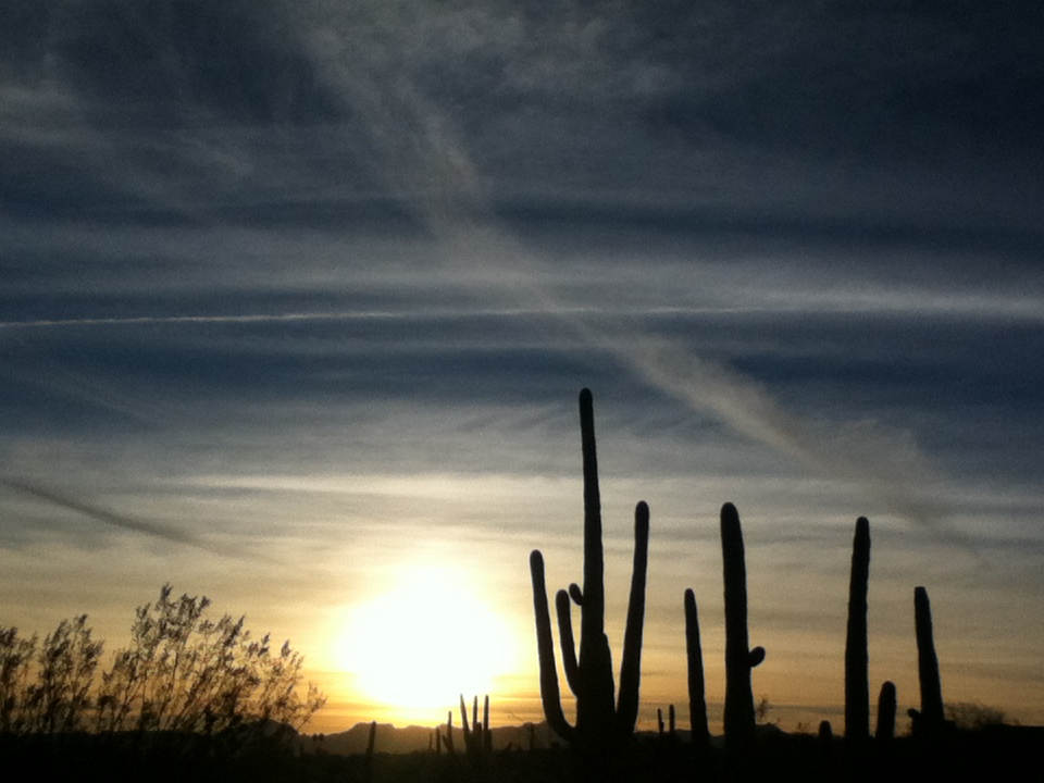c0026482_14355838.jpg