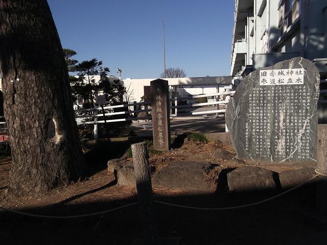 c0212083_0231476.jpg