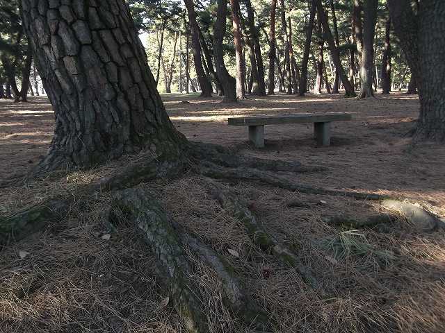 c0212083_2215533.jpg