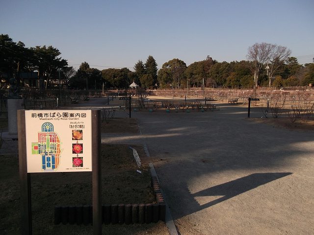 c0212083_2220780.jpg
