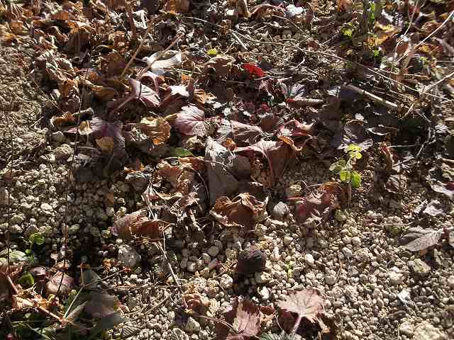 c0212083_2284235.jpg