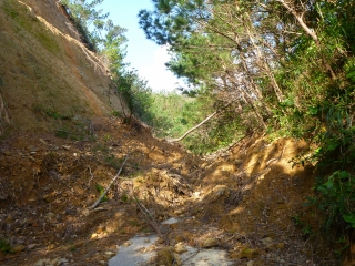 d0240983_21573618.jpg